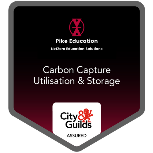 Online Learning Programme: Introduction to  Carbon Capture  Utilisation & Storage