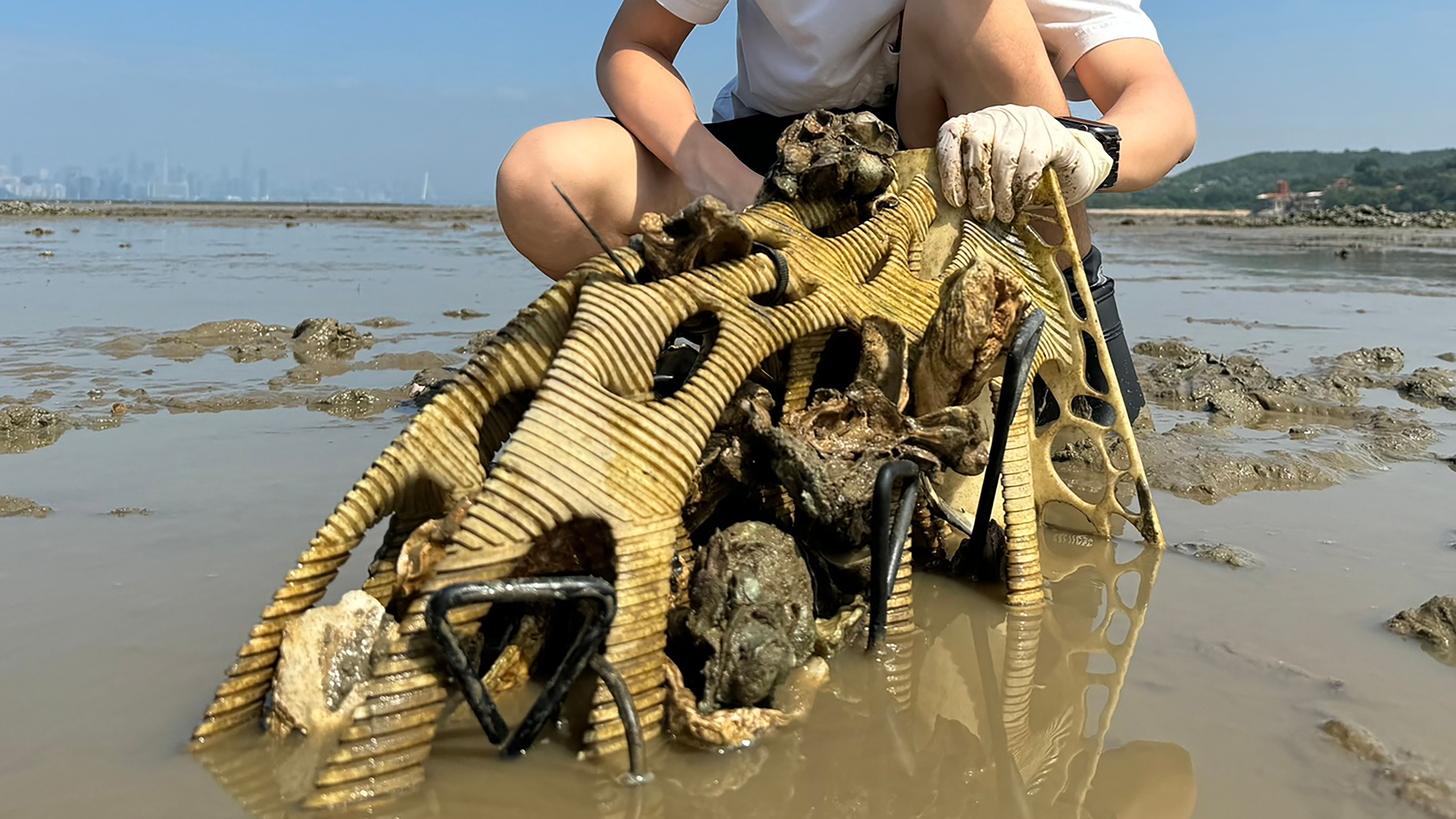 Artificial Reef for Pearl Oyster Reef Restoration in Topological Approach