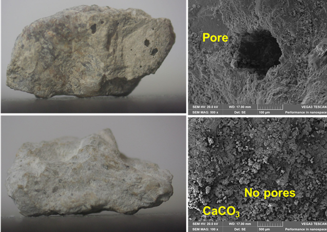 Self-healing concrete with biomineralization-enhanced construction waste for long-term decarbonization