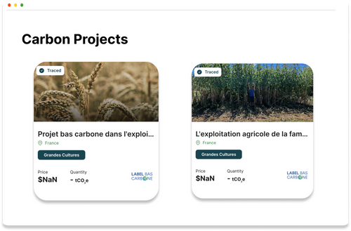 Carbon Credits Marketplace