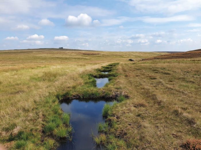 The natural flood management manual (C802F)