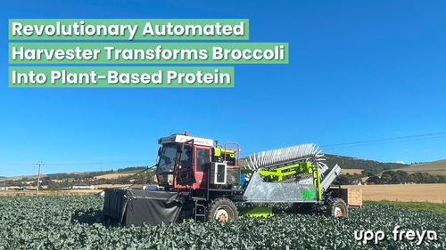 Revolutionary Automated Harvester Transforms Broccoli Into Plant-Based Protein