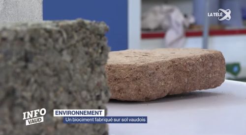 Medusoil - A biocement produced on Vaud soil in Switzerland