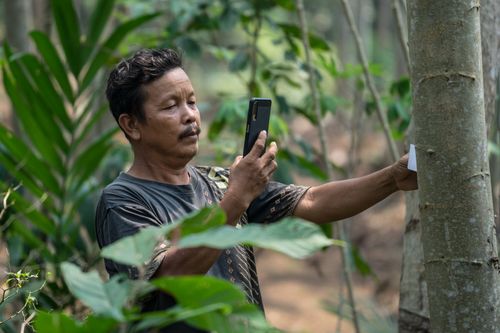 Meet TREEO - a pioneer in single-tree monitoring!