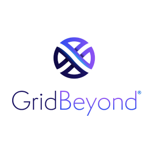 Grid Beyond