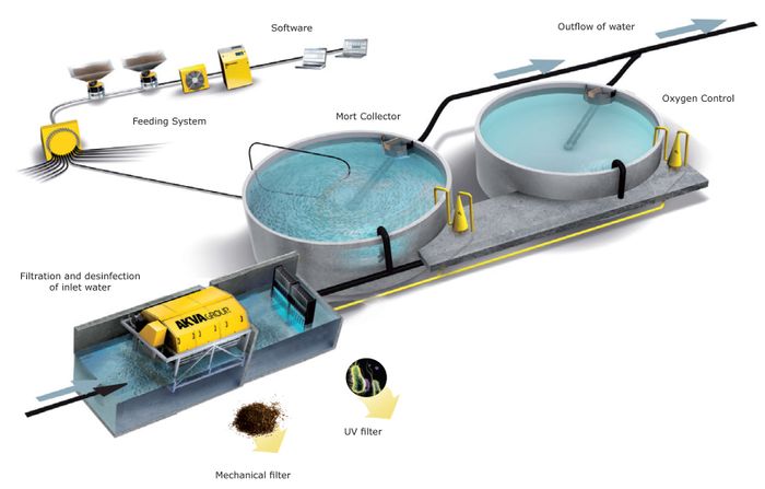 Aquaculture and Environment(CSR)