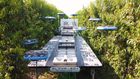 Autonomous Fruit Harvesting System