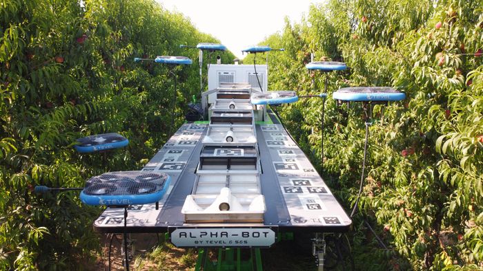Autonomous Fruit Harvesting System