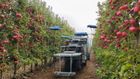 Autonomous Fruit Harvesting System