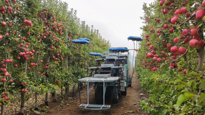 Autonomous Fruit Harvesting System