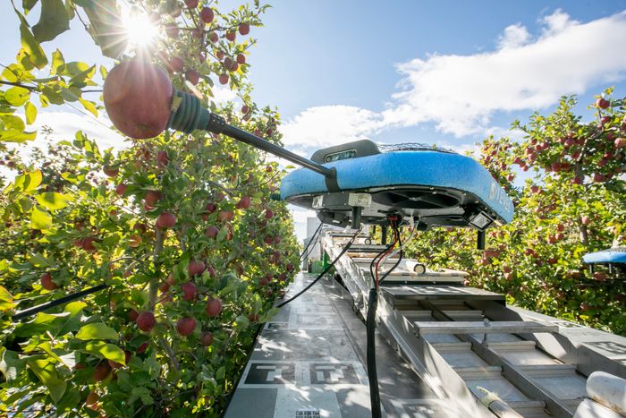 Autonomous Fruit Harvesting System