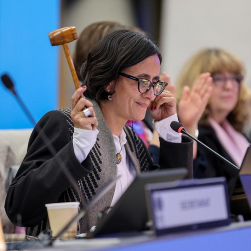 From Stagnation to Breakthrough: COP 16's Ambitious $200bn Nature Pact and the Introduction of the Cali Fund