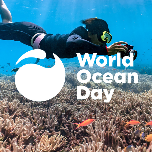 World Oceans Day