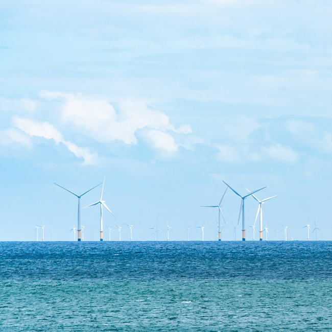 Tracking the Transition: Clean Energy & Climate Risks