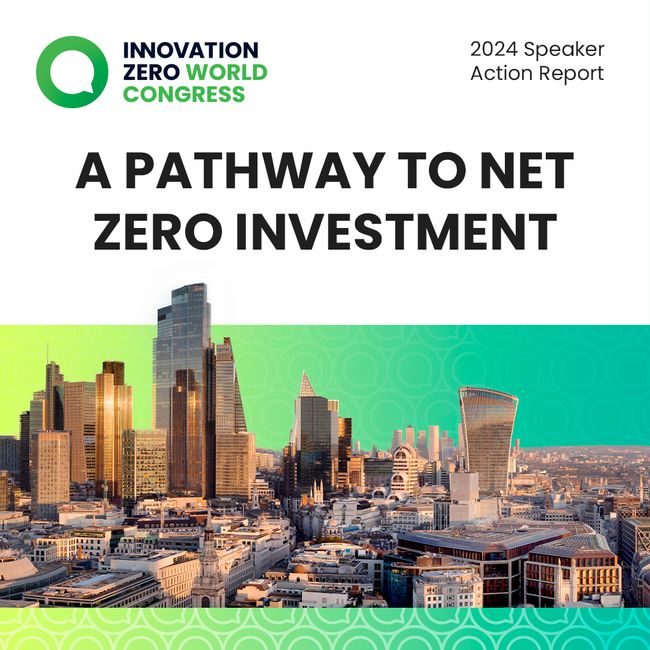 A Pathway to Net Zero Investment