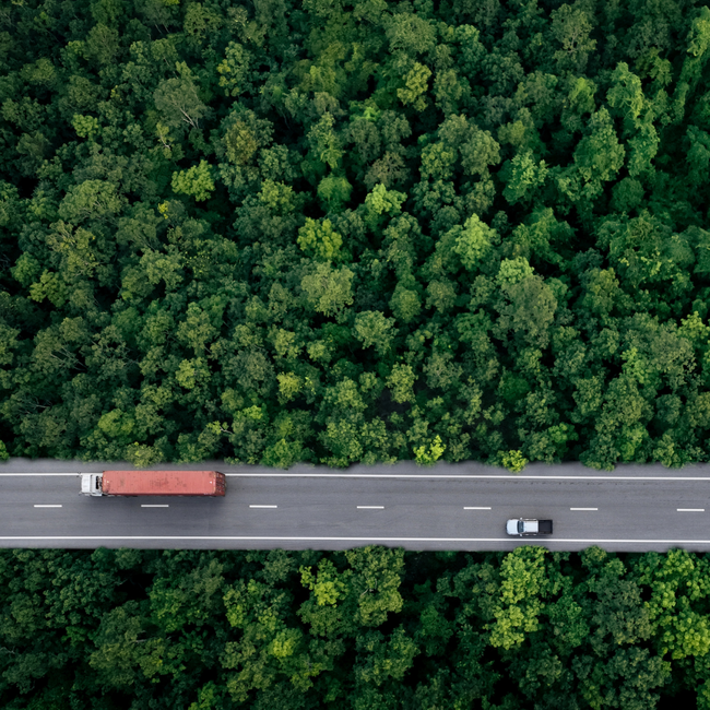 The ESG Paradox: Questioning the Non-Essentials for Growth