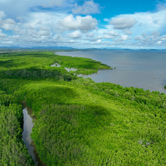Can Your Business Afford to Ignore Nature? Startups That Could Save Your Future