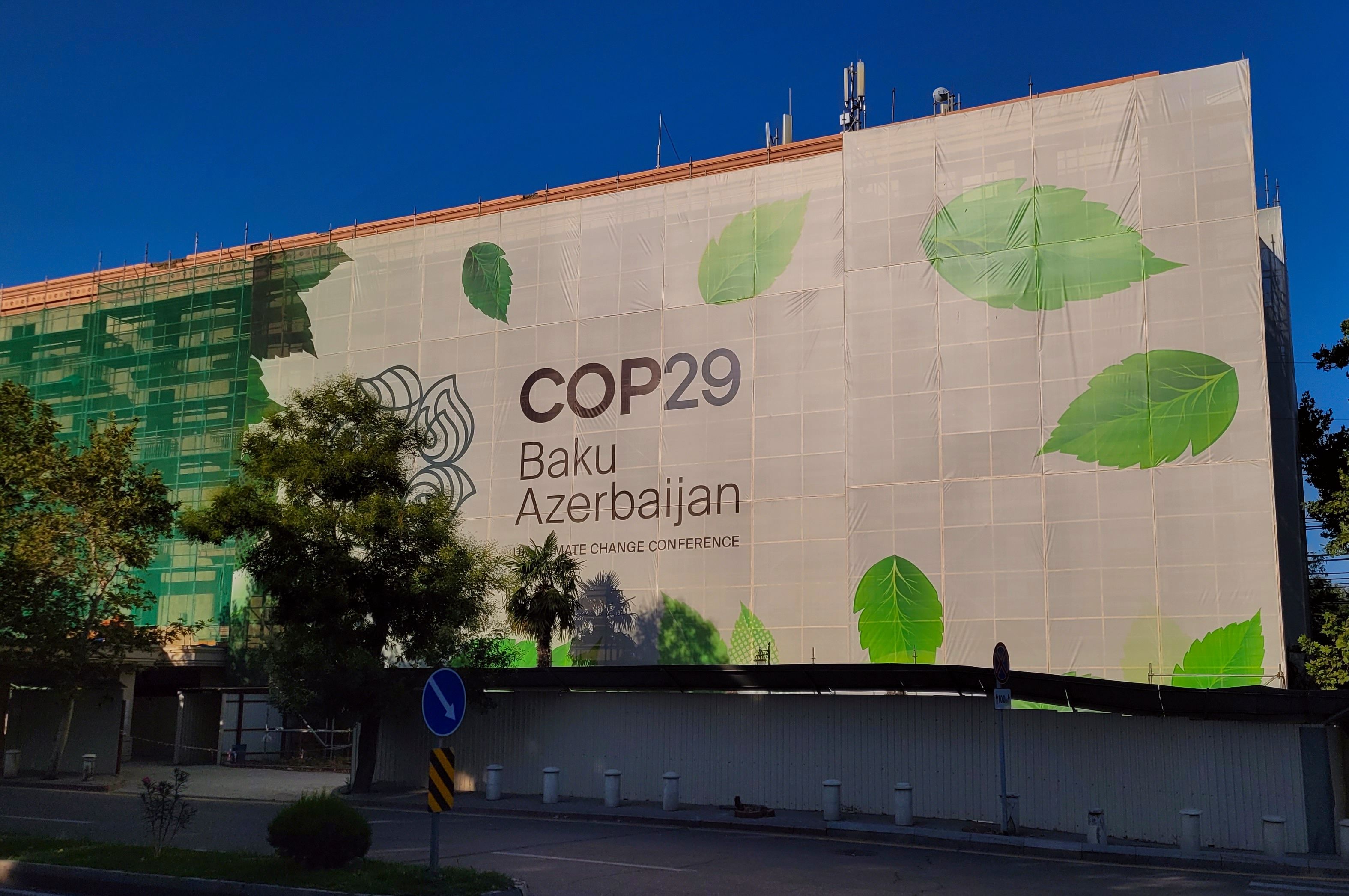 COP29