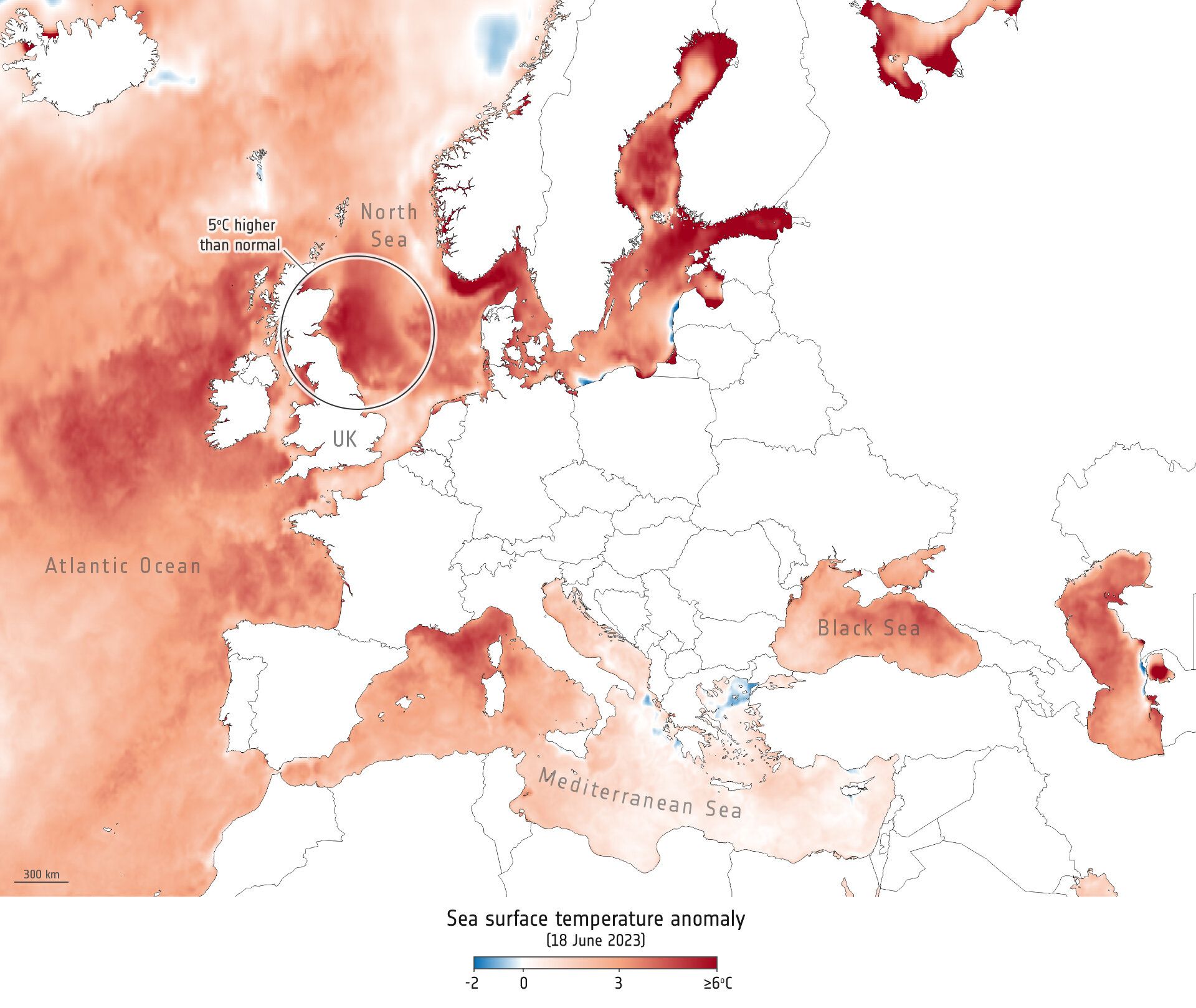 UK suffers marine heatwave