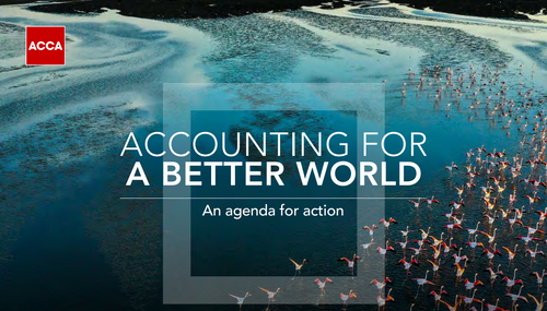 Accounting for a better world - our agenda for action