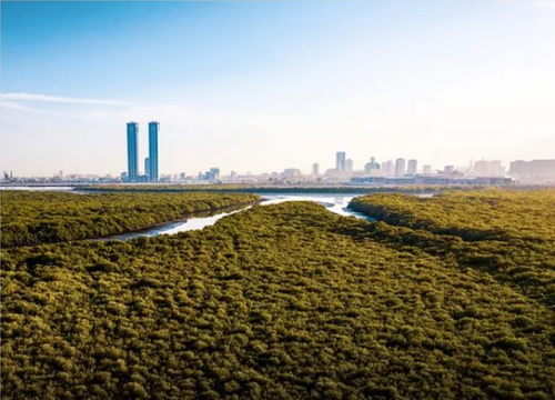 Global accountancy body in net zero first as profession steps up drive for sustainable future