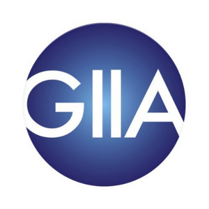 Global Infrastructure Investor Association