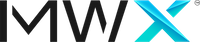 Company name - MetaWorldX