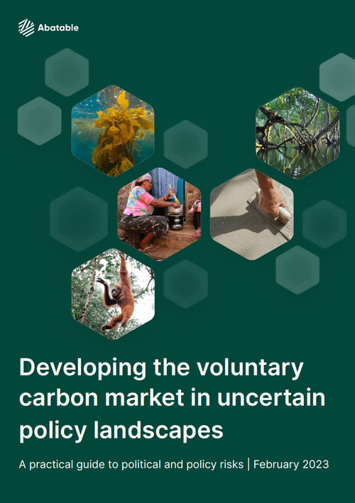 Developing the voluntary carbon market in uncertain policy landscapes