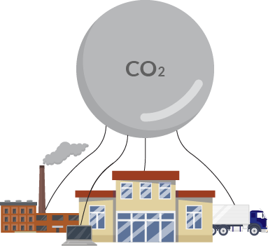 The Carbon Labs - your journey to net zero