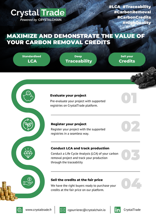 Project developer Flyer CrystalTrade