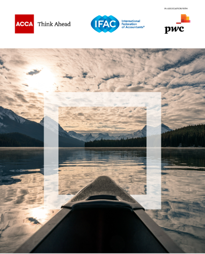 The role of the CFO and finance function in the climate transition: driving value and sustainability