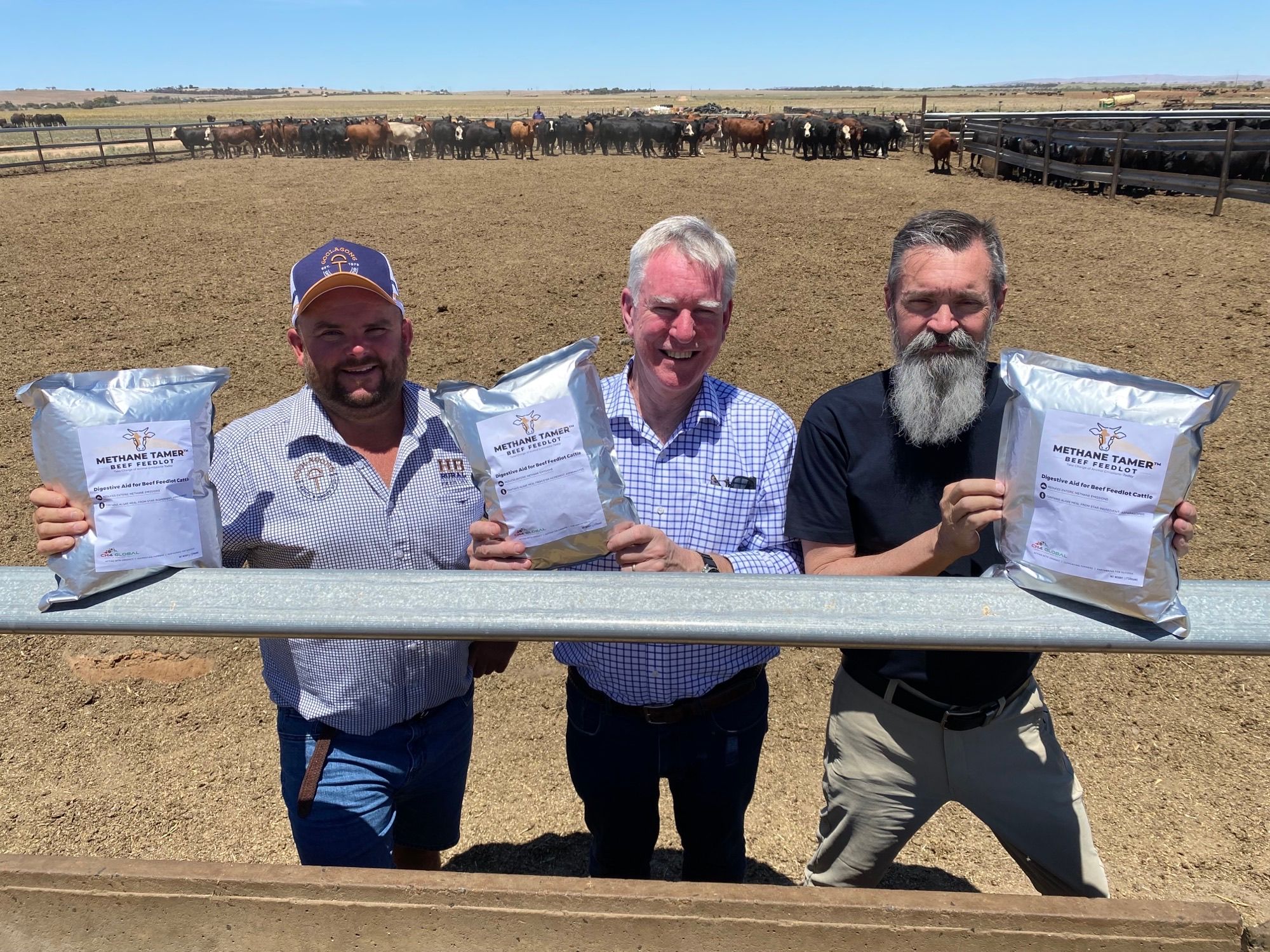CH4 Global Makes First Commercial Delivery of Its Methane-Reducing Cattle Feed Supplement