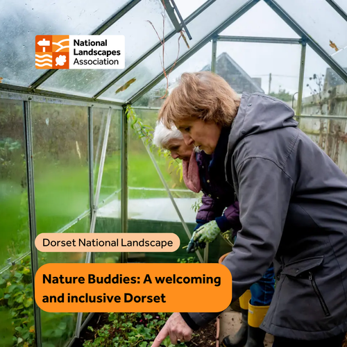 Nature Buddies: A welcoming and inclusive Dorset