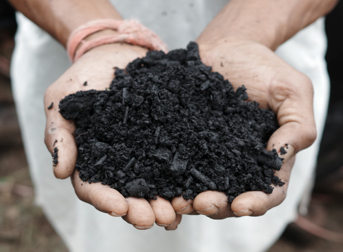 Restore - Carbon Removals
