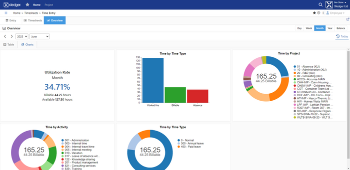 Accounting Software for the Energy Sector
