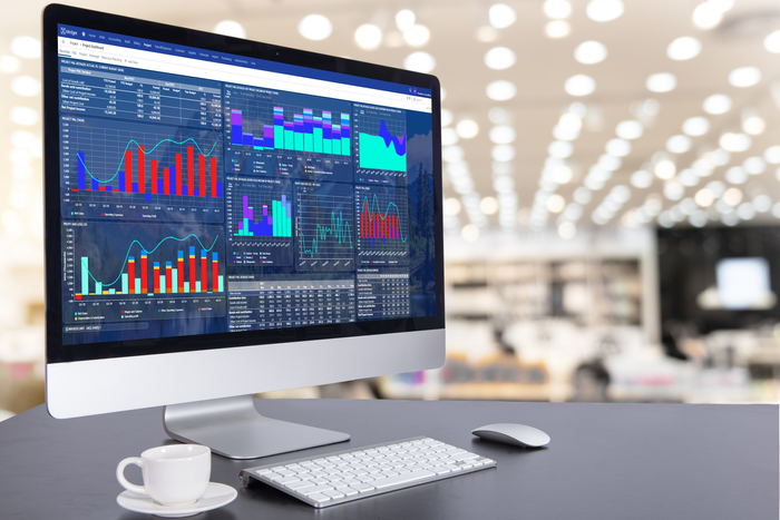 Accounting Software for the Energy Sector