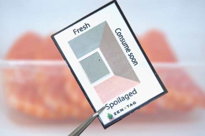 Biomarker Sensing Technology