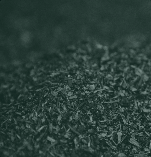 Biochar