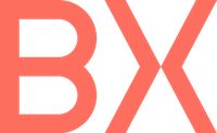 Company name - BX Technologies