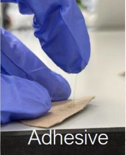 PU Adhesive