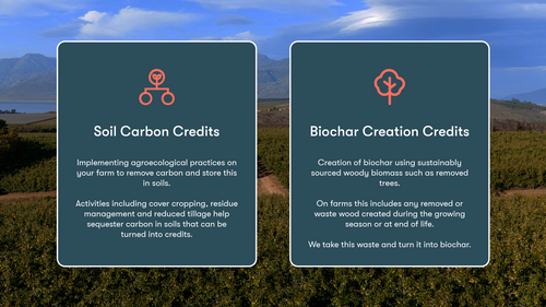 Carbon Credits