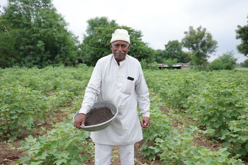Regenerative cotton
