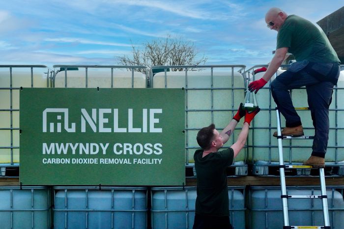 Nellie Mwyndy Cross