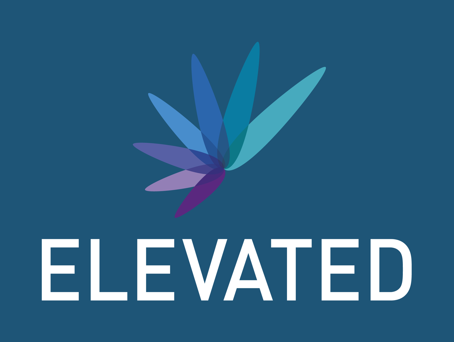 Consort Strategy Ltd T/A Elevated