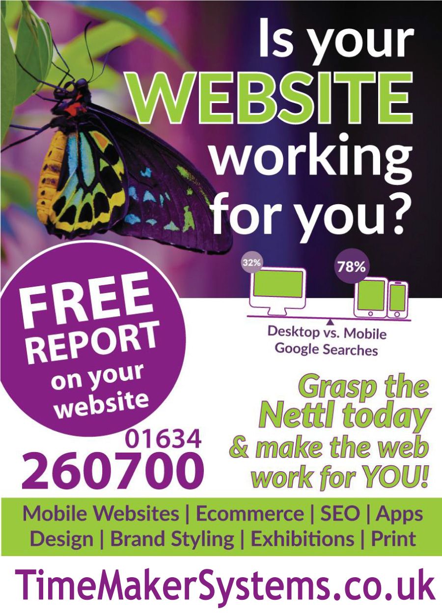 TIMEMAKER SYSTEMS LTD