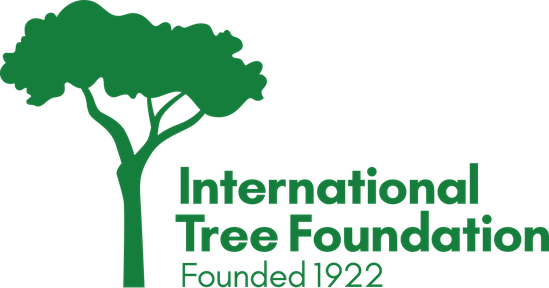 International tree foundation