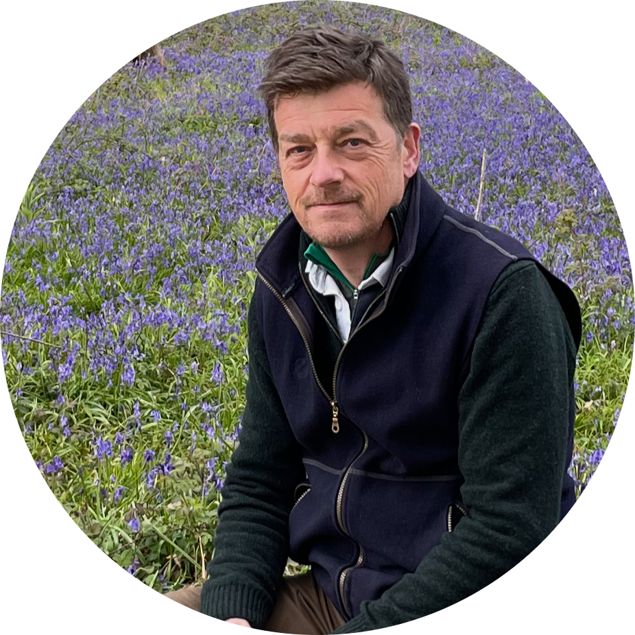 Dr Neil Bindemann
