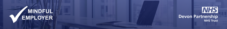 Mindful Employer