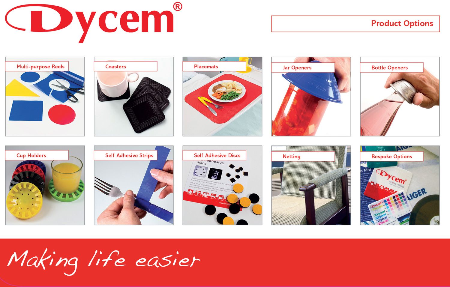 Cover image - Dycem Limited