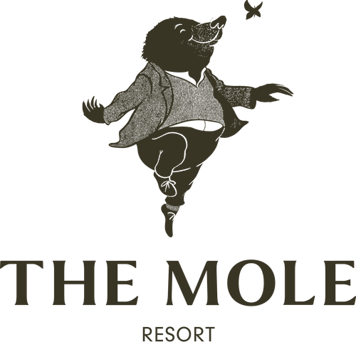 The Mole Resort